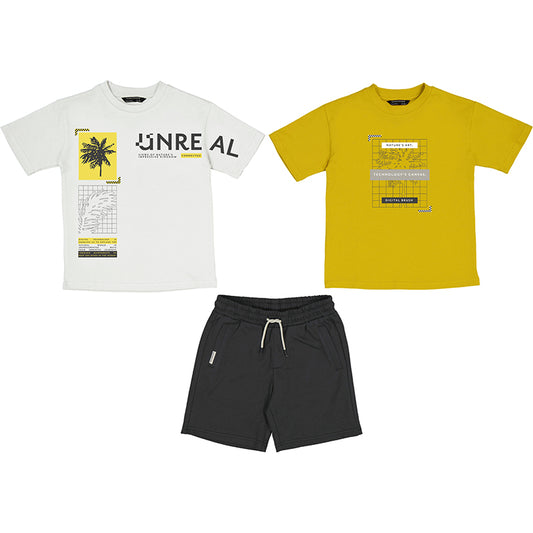 Nukutavake Boys 2 T-Shirts & Shorts Set_ 6669-72