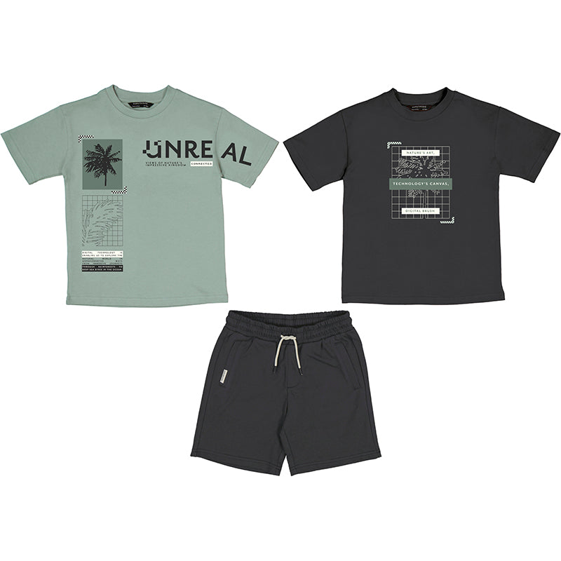 Nukutavake Boys 2 T-Shirts & Shorts Set_ 6669