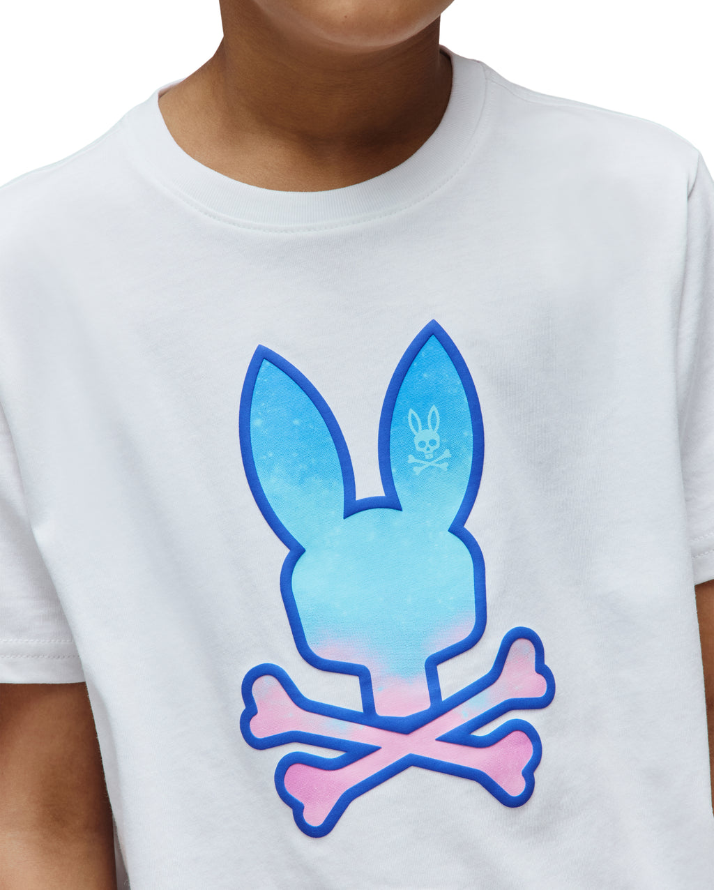 Psycho Bunny Kids Caspian Graphic Tee_ KT0200158