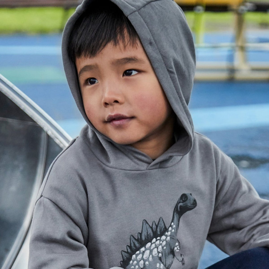 Mayoral Mini Boys Pullover Hoodie_ 4407 - NorthBoys