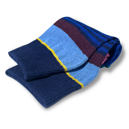 Vannucci Boys Striped Blue Socks _SS1203