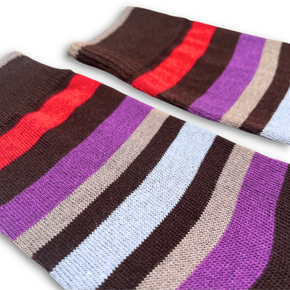 Vannucci Boys Striped Brown/Purple Socks _SS1210