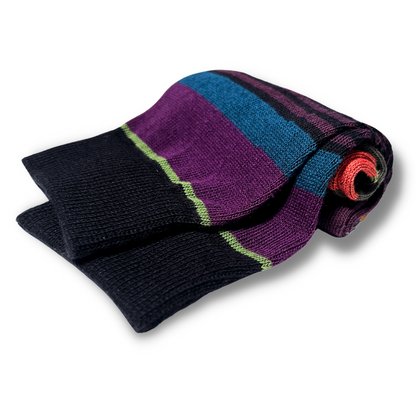 Vannucci Boys Striped Grey/Purple Socks _SS1203