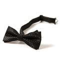 Appaman Bowtie Q8BOWBL - NorthBoys