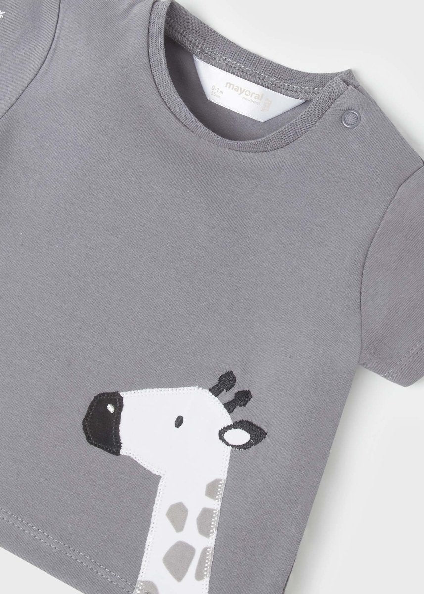 Mayoral Baby Short 4pc Set_ Grey 1651 - 88 - NorthBoys