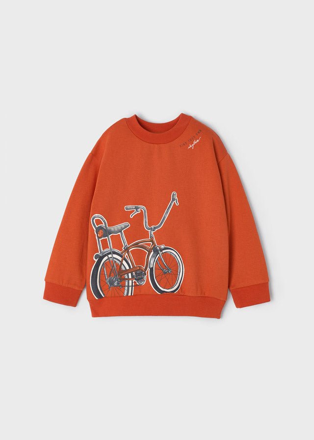 Mayoral Mini Pullover _Rust 4453 - 89 - NorthBoys