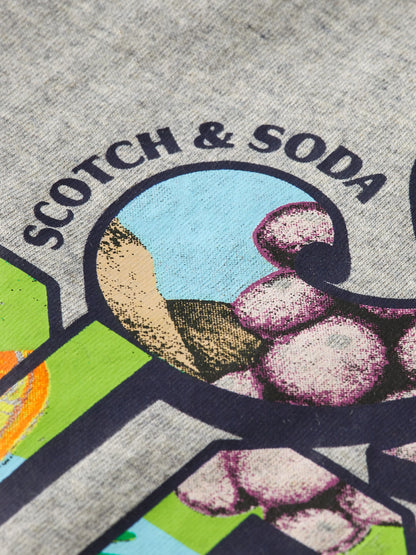 Scotch & Soda Boys T-Shirt_Grey 170537-0606