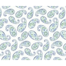 Tallia Boys White/Green Paisley Dress Shirt - NorthBoys