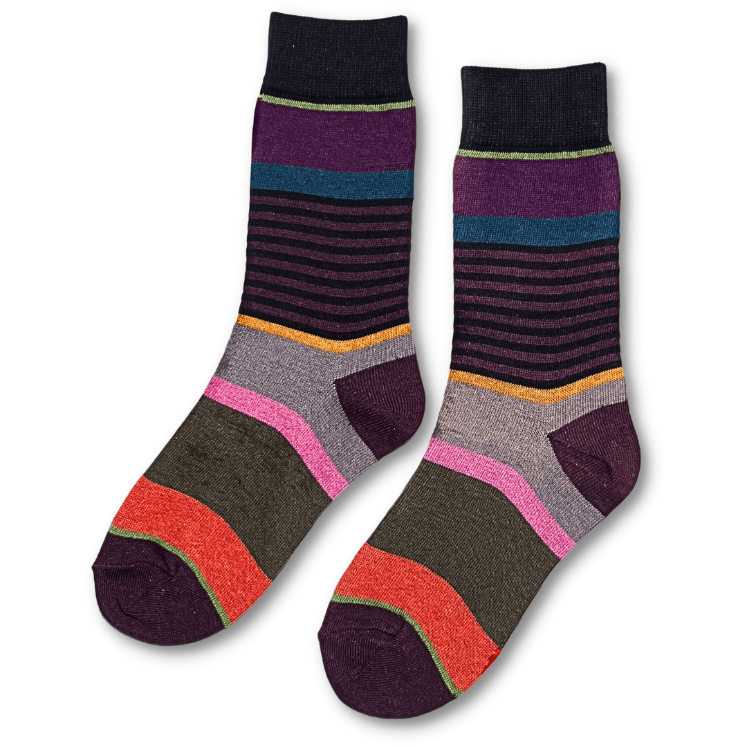 Vannucci Boys Striped Grey/Purple Socks _SS1203 - NorthBoys