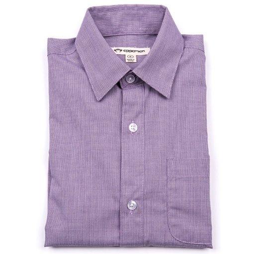 Appaman Shirt R8STA-449 Dress Shirts Appaman Purple 2T 